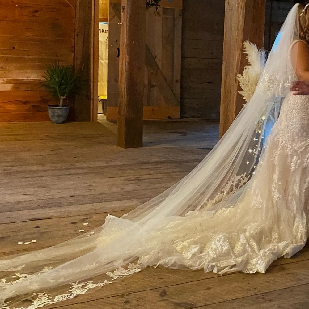 Cathedral Bridal Wedding Veil